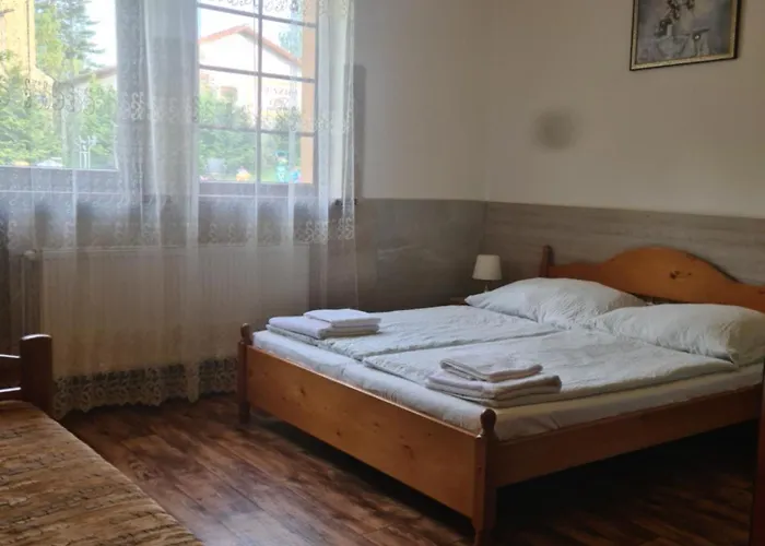 Πανσιόν Vysehrad Nonstop 3*